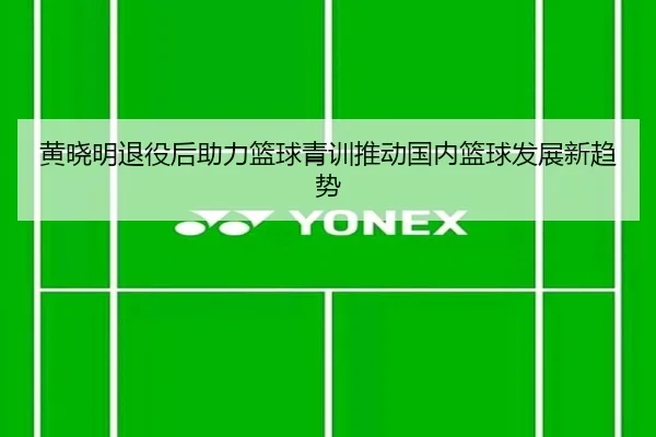 黄晓明退役后助力篮球青训推动国内篮球发展新趋势（RAY ESPORTS）